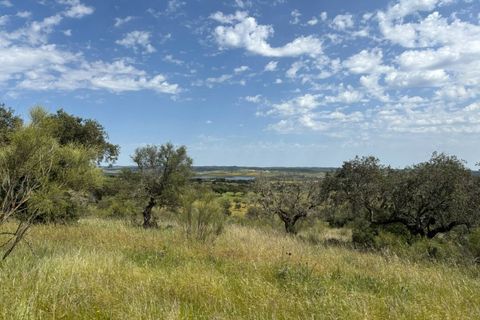 Terra a Alandroal, Evora, Alandroal - € 375.000 | Ref: SÒL_432 - foto 8