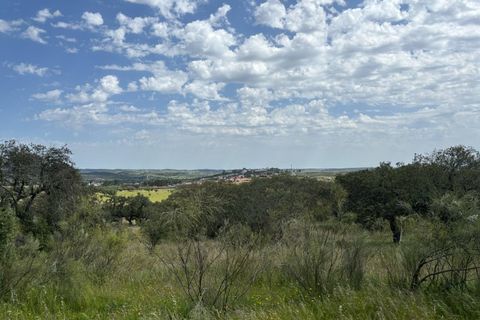 Terra a Alandroal, Evora, Alandroal - € 375.000 | Ref: SÒL_432 - foto 4