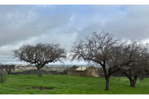 Terra a Alandroal, Evora, Alandroal - € 375.000 | Ref: SÒL_432 - foto 3