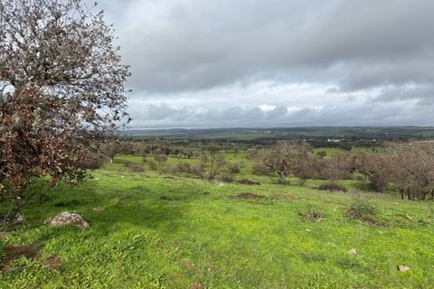 Terra a Alandroal, Evora, Alandroal - € 375.000 | Ref: SÒL_432 - foto 5