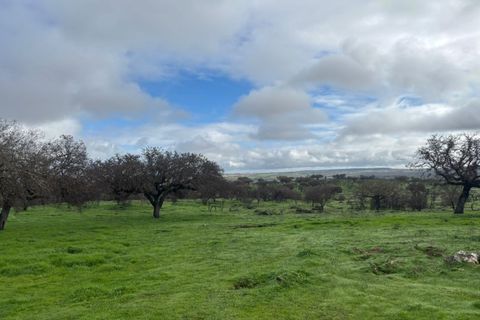 Terra a Alandroal, Evora, Alandroal - € 375.000 | Ref: SÒL_432 - foto 11