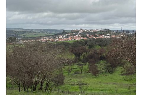 Terra a Alandroal, Evora, Alandroal - € 375.000 | Ref: SÒL_432 - foto 13