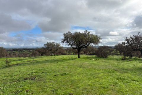 Terra a Alandroal, Evora, Alandroal - € 375.000 | Ref: SÒL_432 - foto 14