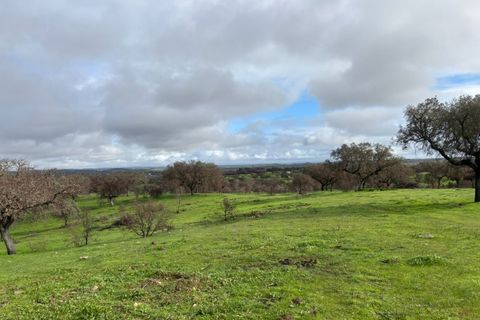 Terra a Alandroal, Evora, Alandroal - € 375.000 | Ref: SÒL_432 - foto 15