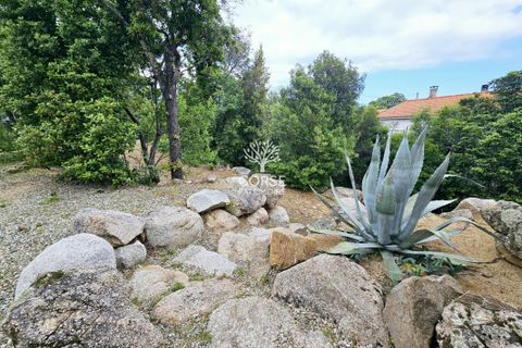 Villa i Solaro, Haute-Corse, Solaro - € 420.000 | Ref: M2769 - foto 4