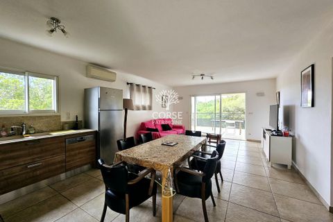 Villa i Solaro, Haute-Corse, Solaro - € 420.000 | Ref: M2769 - foto 6