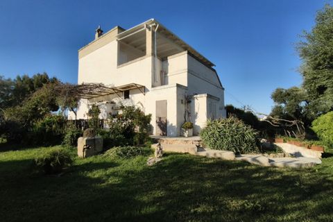 Landejendom i Fasano, Brindisi, Fasano - € 1.450.000 | Ref: MAGA - foto 12