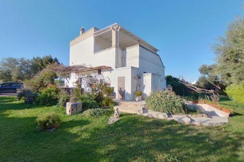 Landejendom i Fasano, Brindisi, Fasano - € 1.450.000 | Ref: MAGA - foto 18