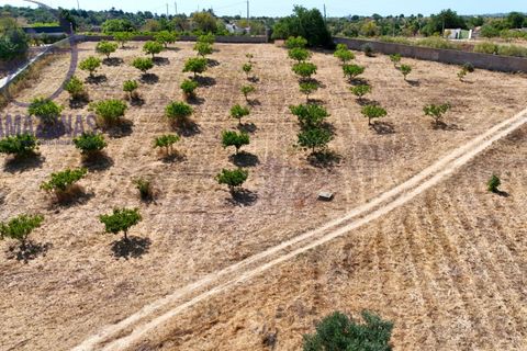Villa i Lagoa, Faro, Lagoa - € 462.000 | Ref: 07-492 - foto 5