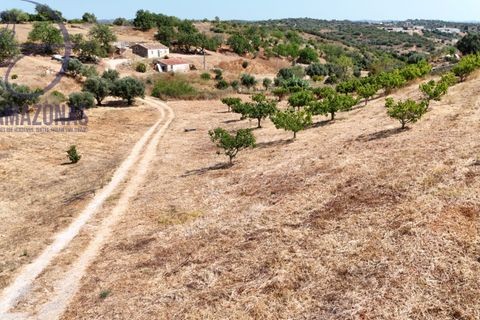 Villa i Lagoa, Faro, Lagoa - € 462.000 | Ref: 07-492 - foto 6