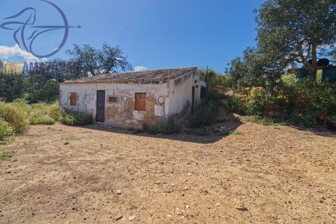 Villa i Lagoa, Faro, Lagoa - € 462.000 | Ref: 07-492 - foto 9