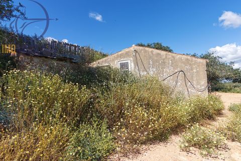Villa i Lagoa, Faro, Lagoa - € 462.000 | Ref: 07-492 - foto 10