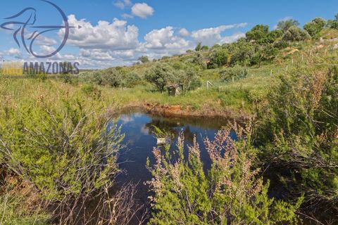 Villa i Lagoa, Faro, Lagoa - € 462.000 | Ref: 07-492 - foto 12