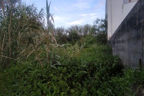 Helårsgrund i Oliveira do Bairro, Aveiro, Oliveira do Bairro - € 28.000 | Ref: AV25/099 - foto 2