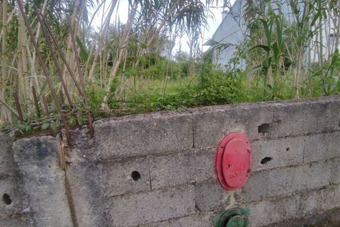 Helårsgrund i Oliveira do Bairro, Aveiro, Oliveira do Bairro - € 28.000 | Ref: AV25/099 - foto 3