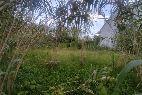 Helårsgrund i Oliveira do Bairro, Aveiro, Oliveira do Bairro - € 28.000 | Ref: AV25/099 - foto 13
