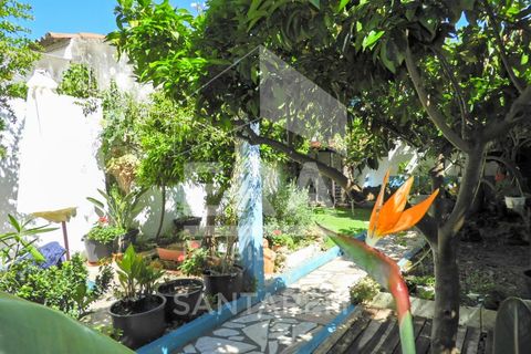 Villa i Almeirim, Santarem, Almeirim - € 320.000 | Ref: 11822 - foto 18