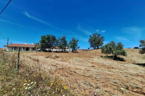 Farm hus i Serpa, Beja, Serpa - € 300.000 | Ref: 0312 - foto 2