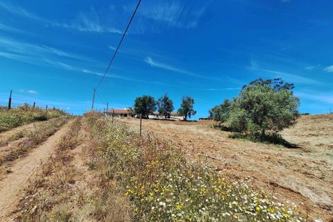 Farm hus i Serpa, Beja, Serpa - € 300.000 | Ref: 0312 - foto 3