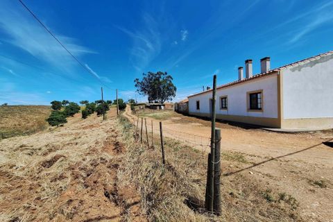 Farm hus i Serpa, Beja, Serpa - € 300.000 | Ref: 0312 - foto 6