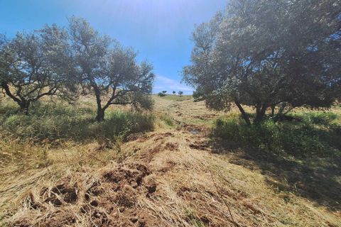 Farm hus i Serpa, Beja, Serpa - € 300.000 | Ref: 0312 - foto 27