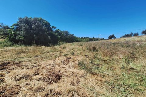 Farm hus i Serpa, Beja, Serpa - € 300.000 | Ref: 0312 - foto 28