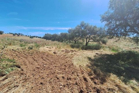 Farm hus i Serpa, Beja, Serpa - € 300.000 | Ref: 0312 - foto 29