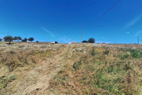 Farm hus i Serpa, Beja, Serpa - € 300.000 | Ref: 0312 - foto 30