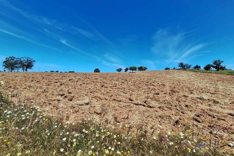 Farm hus i Serpa, Beja, Serpa - € 300.000 | Ref: 0312 - foto 31