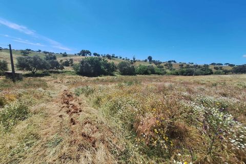 Farm hus i Serpa, Beja, Serpa - € 300.000 | Ref: 0312 - foto 32