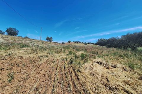 Farm hus i Serpa, Beja, Serpa - € 300.000 | Ref: 0312 - foto 33
