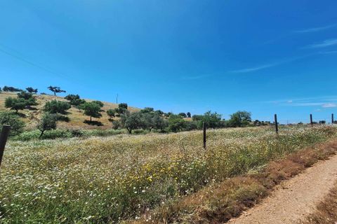 Farm hus i Serpa, Beja, Serpa - € 300.000 | Ref: 0312 - foto 38