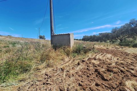Farm hus i Serpa, Beja, Serpa - € 300.000 | Ref: 0312 - foto 40