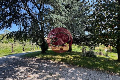 Villa a Roncofreddo, Forli-Cesena, Roncofreddo - € 320.000 | Ref: G-C1-112 - foto 4