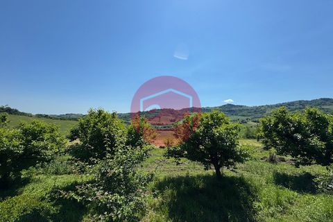 Villa a Roncofreddo, Forli-Cesena, Roncofreddo - € 320.000 | Ref: G-C1-112 - foto 7
