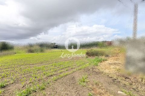 Tomt i Vila do Conde, Porto, Vila do Conde - € 292 000 | Ref: 240-T-25700 - foto 6