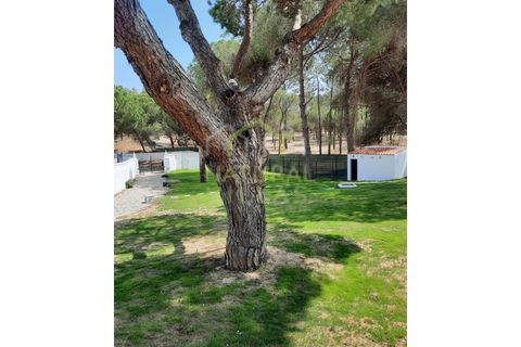 Casa unifamiliar a Almancil, Faro, Almancil - € 8.500/mes | Ref: MOR_2349_ARR - foto 5