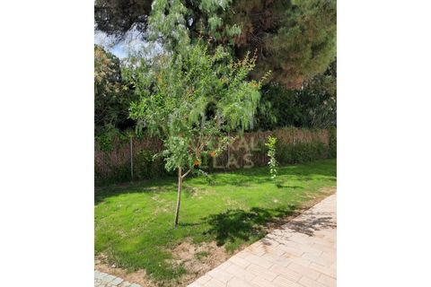 Casa unifamiliar a Almancil, Faro, Almancil - € 8.500/mes | Ref: MOR_2349_ARR - foto 6