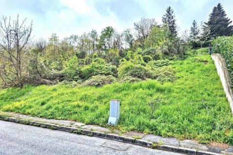 Helårsgrund i Cingoli, Macerata, Cingoli - € 200.000 | Ref: 2515130 - foto 2