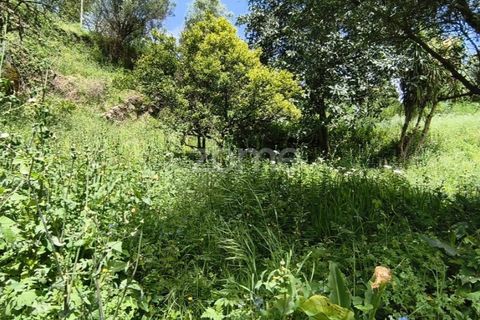 Villa i Vila Verde, Braga, Vila Verde - € 75.000 | Ref: ZMPT576794 - foto 25