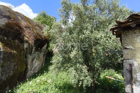 Villa i Vila Verde, Braga, Vila Verde - € 75.000 | Ref: ZMPT576794 - foto 11