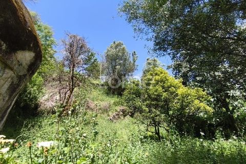 Villa i Vila Verde, Braga, Vila Verde - € 75.000 | Ref: ZMPT576794 - foto 21