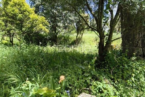 Villa i Vila Verde, Braga, Vila Verde - € 75.000 | Ref: ZMPT576794 - foto 23