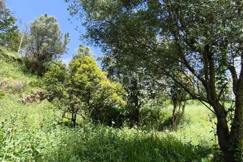 Villa i Vila Verde, Braga, Vila Verde - € 75.000 | Ref: ZMPT576794 - foto 26