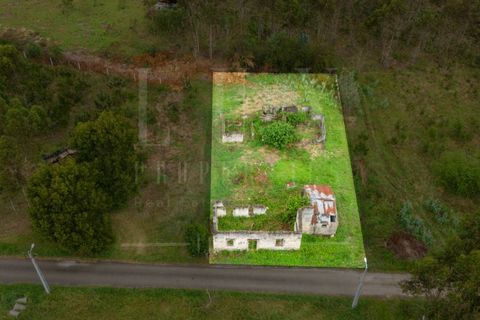 Villa i Cantanhede, Coimbra, Cantanhede - € 37.500 | Ref: LUX_CB-00753 - foto 2