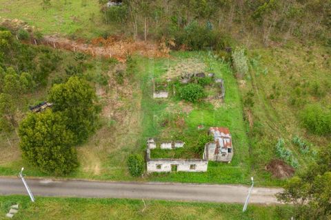 Villa i Cantanhede, Coimbra, Cantanhede - € 37.500 | Ref: LUX_CB-00753 - foto 3