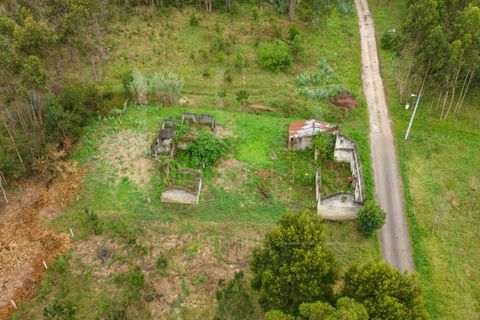Villa i Cantanhede, Coimbra, Cantanhede - € 37.500 | Ref: LUX_CB-00753 - foto 4