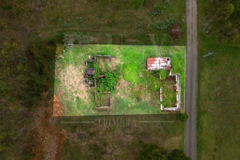 Villa i Cantanhede, Coimbra, Cantanhede - € 37.500 | Ref: LUX_CB-00753 - foto 6