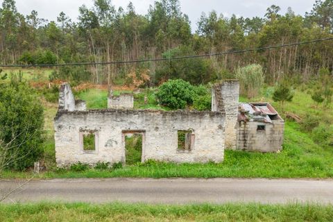 Villa i Cantanhede, Coimbra, Cantanhede - € 37.500 | Ref: LUX_CB-00753 - foto 7