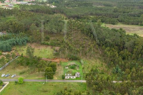 Villa i Cantanhede, Coimbra, Cantanhede - € 37.500 | Ref: LUX_CB-00753 - foto 9